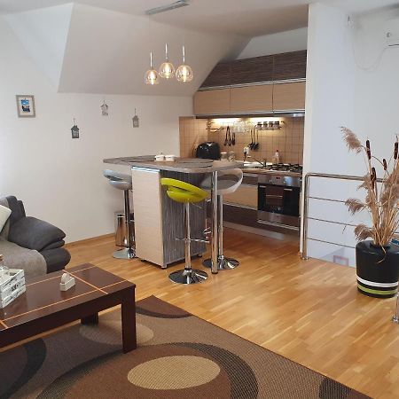 Smiley Apartment Сибиу Экстерьер фото