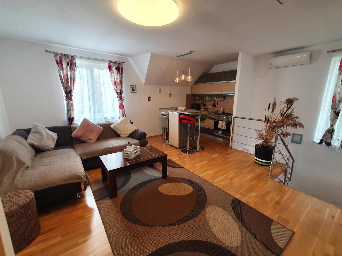 Smiley Apartment Сибиу Экстерьер фото