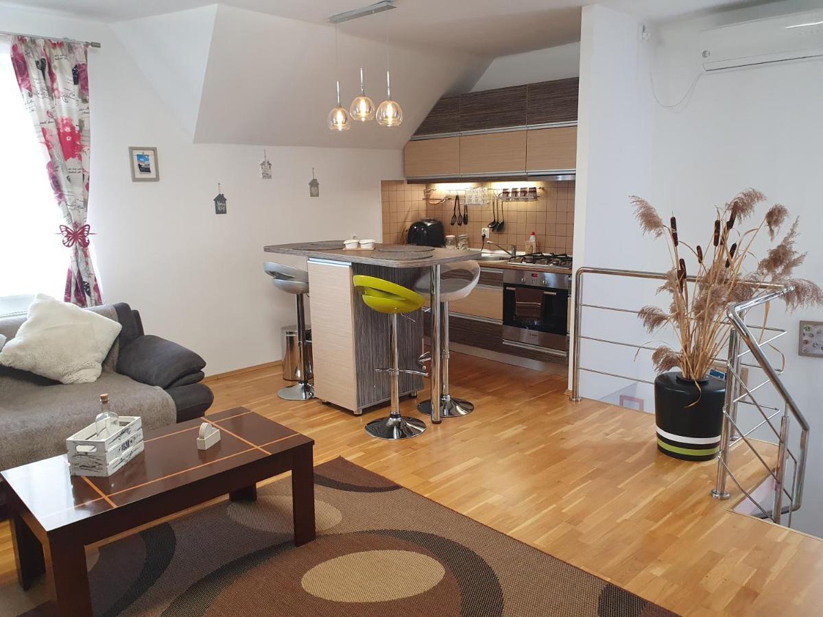 Smiley Apartment Сибиу Экстерьер фото