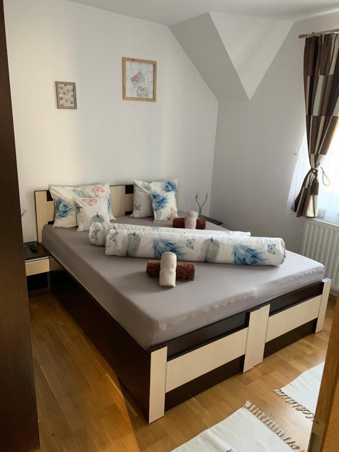Smiley Apartment Сибиу Экстерьер фото